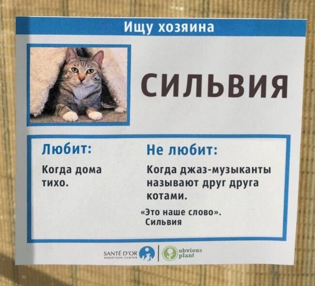        .   - 8