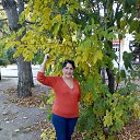 ���� ���������, ����, 72 ���� - ��������� 5 ������� 2019 � ������ ���� ����������