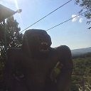 ���� �������, ������, 37 ��� - ��������� 8 ��� 2019 � ������ ���� ����������