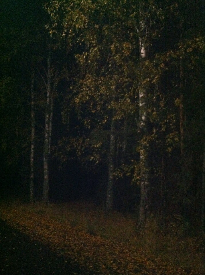 ��������� �������� �����...