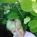 ���� ������, ���������, 58 ��� - ��������� 27 ���� 2019