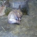 ���� ����, ������� - ��������� 13 ���� 2019 � ������ ����� 2019�