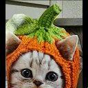 ���� ���, ��������, 56 ��� - ��������� 15 ������� 2019