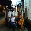 ���� �����, ����, 43 ���� - ��������� 31 ���� 2019 � ������ ���� ����������