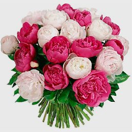 ���� ��������, ����������� - ��������� 9 ���� 2019