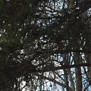 ���� ����, �����������, 50 ��� - ��������� 6 ������ 2019 � ������ ������������� ���