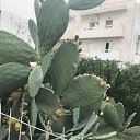 ���� ������, �����, 65 ��� - ��������� 26 �������� 2019 � ������ ��. ����, ��������, 2019�