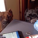 ���� Gregori, ������ - ��������� 16 ��� 2019 � ������ ������ ��������