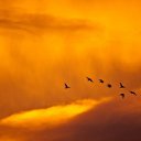 ���� �������, ������ - ��������� 12 ������ 2019 � ������ ������ ��������