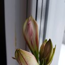  , , 46  -  21  2019   :)))