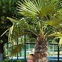 ���� �����, ������, 74 ���� - ��������� 22 ���� 2019 � ������ ������ ��������