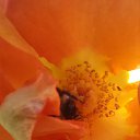  , , 50  -  1  2019   1 2019