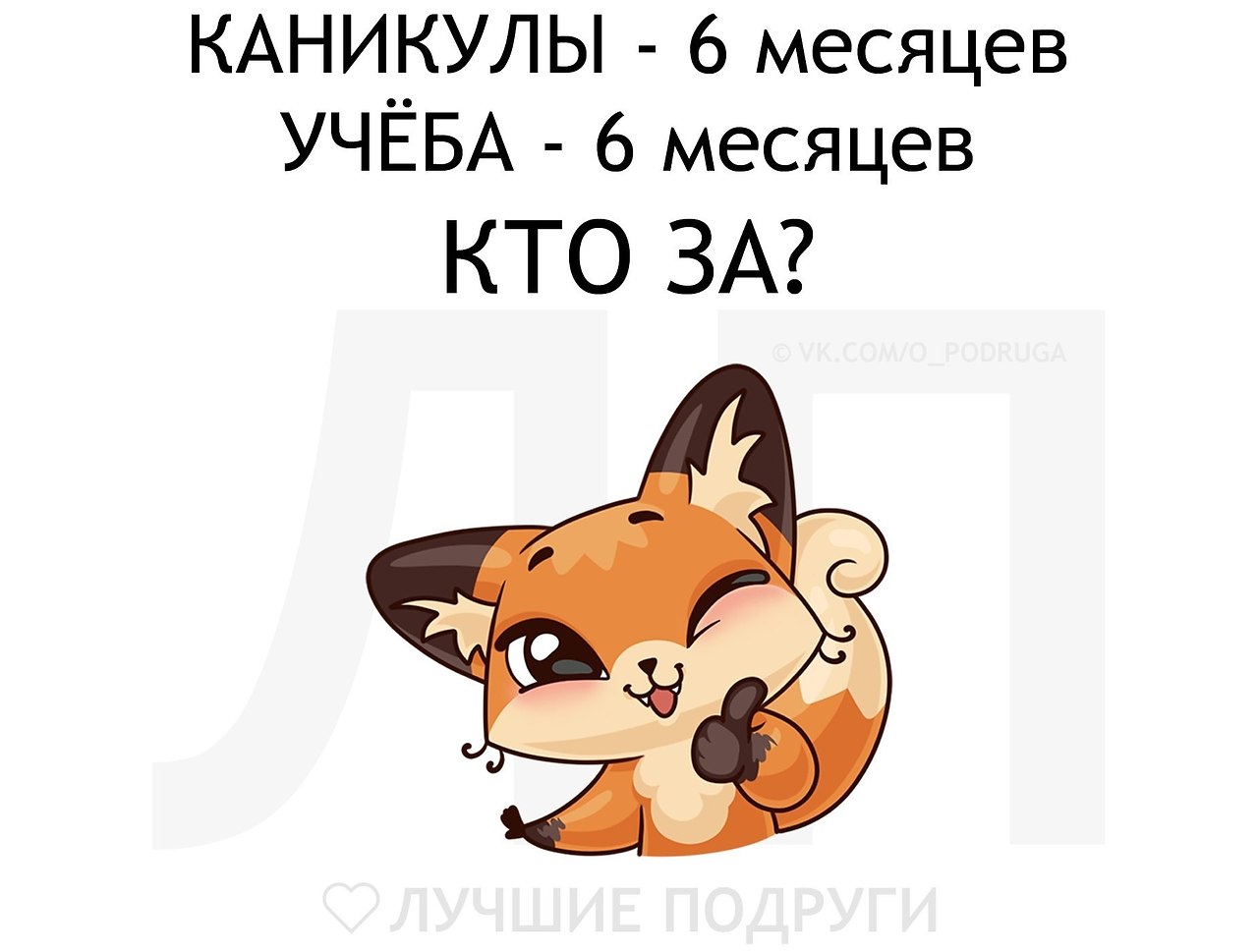   - 2  2019  03:35