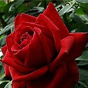 ���� ����, ������ - ��������� 17 �������� 2019 � ������ ���� ����������