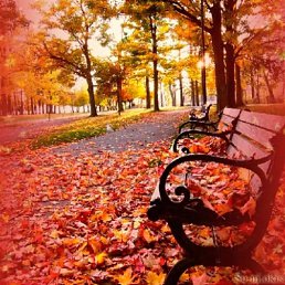 ����, �����������