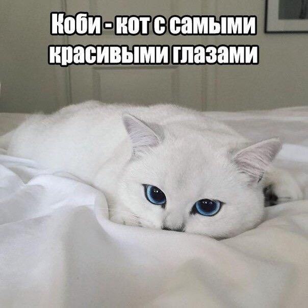    - 27  2019  19:19