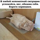  Saturn,  -  21  2019    