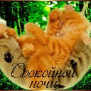 ���� Alex, �����, 56 ��� - ��������� 7 ������ 2019 � ������ ���� ����������