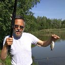 ���� ����, ������, 61 ��� - ��������� 2 ���� 2019 � ������ �����