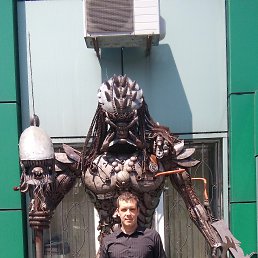 ��������, �����������, 41 ���