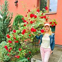���� �������, ���� - ��������� 22 ���� 2019 � ������ ���� ����������