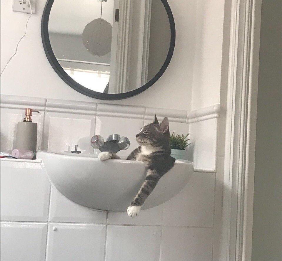������