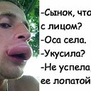 ���� �������, ���������, 66 ��� - ��������� 29 ������� 2019 � ������ ���� ����������