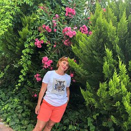 ���� �������, ������������, 58 ��� - ��������� 9 ���� 2019