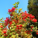  , -, 74  -  28  2019    