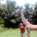 ���� ������, ����-���, 66 ��� - ��������� 17 ��� 2019