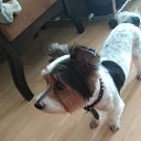 ���� ������, ������, 26 ��� - ��������� 1 ������� 2019