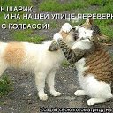 ���� ����, �����-���������, 64 ���� - ��������� 5 ������� 2019 � ������ ���� ����������