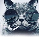 ���� �����, �����, 50 ��� - ��������� 8 ��� 2019 � ������ ���� ����������