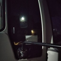 ����, ����, 42 ����