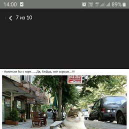 ���� ������, ������, 43 ���� - ��������� 29 ������� 2019