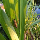 ���� Olga, ������������ - ��������� 20 ������� 2019 � ������ ���� ����������