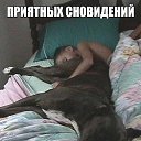 ���� ������� ������, �������� - ��������� 9 ���� 2019 � ������ ������ ��������