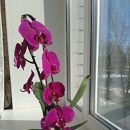 ���� ������, ������ ��������, 71 ��� - ��������� 6 ��� 2019