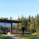 ���� ������, ������, 41 ��� - ��������� 31 ������� 2019