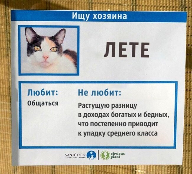        .   - 5