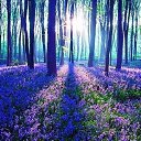 ���� ������, ������, 40 ��� - ��������� 22 ������� 2019 � ������ ���� ����������