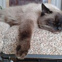 ���� ������(��������), ���� - ��������� 16 ������ 2019 � ������ ���� ����������