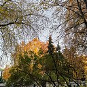  , , 50  -  9  2019    2019