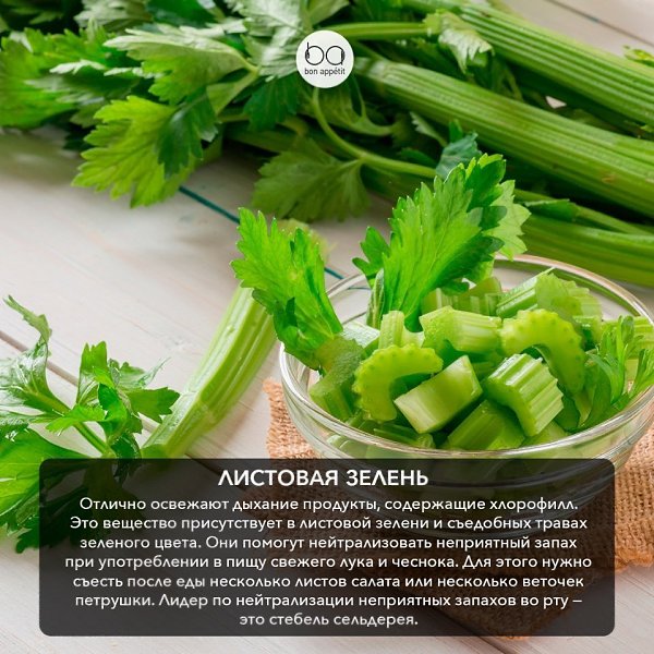 Эти продукты помогут освежить дыхание.#полезные_советы@bon - 3