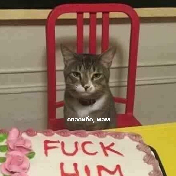    ,    -   - 2