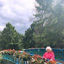 ���� �����, �������� - ��������� 19 ������� 2019 � ������ ���� ����������