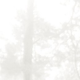 �������, �������, 40 ���