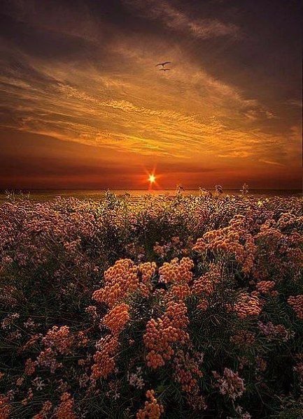Art & Fun - 5 ������ 2019 � 18:51 - 4