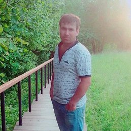 ����, �����-���������, 36 ���