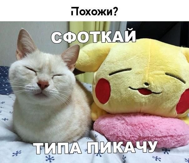   :D - 4  2019  02:30